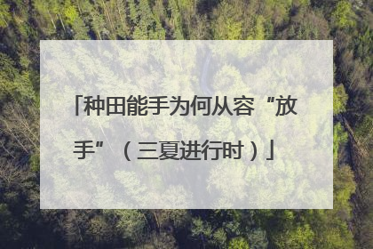 种田能手为何从容“放手”（三夏进行时）